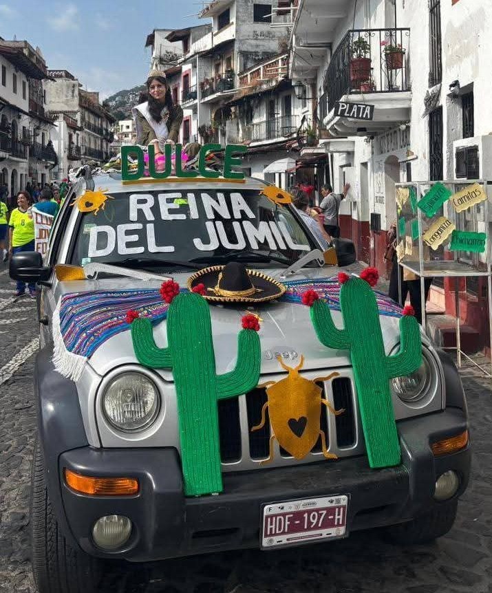 Concursos culturales y certámenes